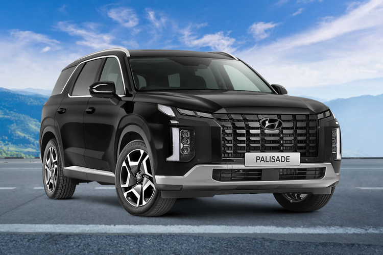 Palisade
